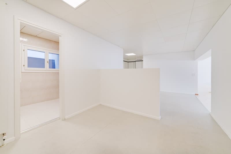 2 MESI GRATUITI - Bellissimo loft ristrutturato di 120 mq a Cadro (2)