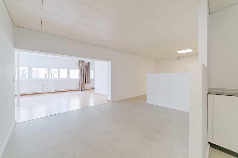 2 MESI GRATUITI - Bellissimo loft ristrutturato di 120 mq a Cadro (3)