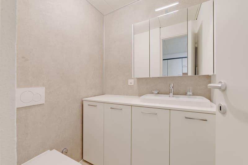 2 MESI GRATUITI - Bellissimo loft ristrutturato di 120 mq a Cadro (4)