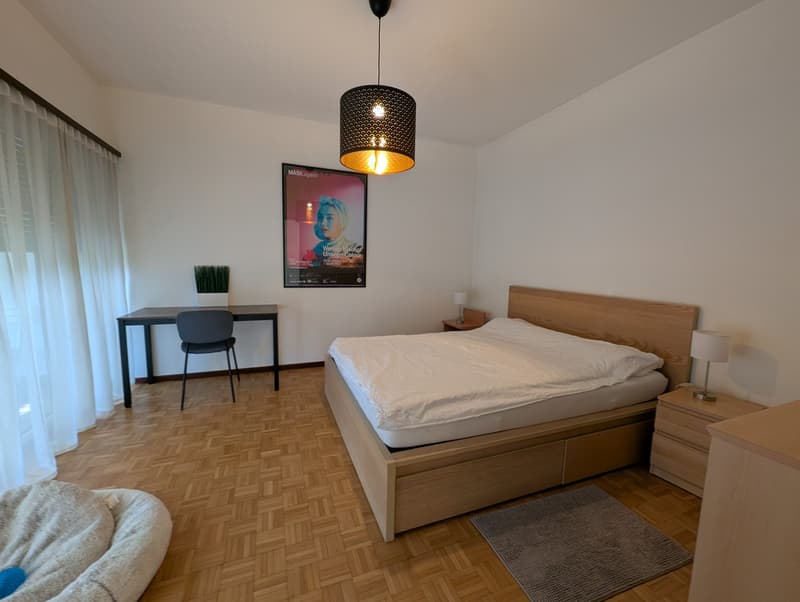ACCOGLIENTE APPARTAMENTO DI 3.5 LOCALI CON TERRAZZA E GIARDINO (6)