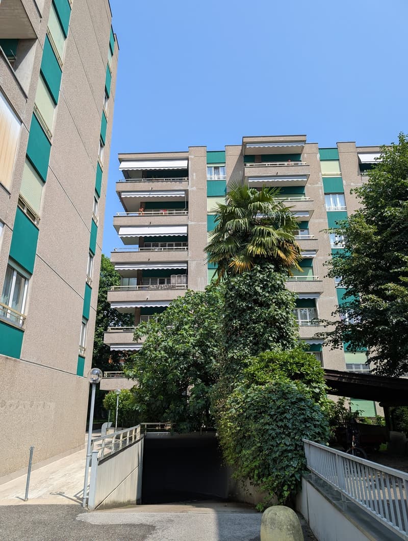 ACCOGLIENTE APPARTAMENTO DI 3.5 LOCALI CON TERRAZZA E GIARDINO (13)