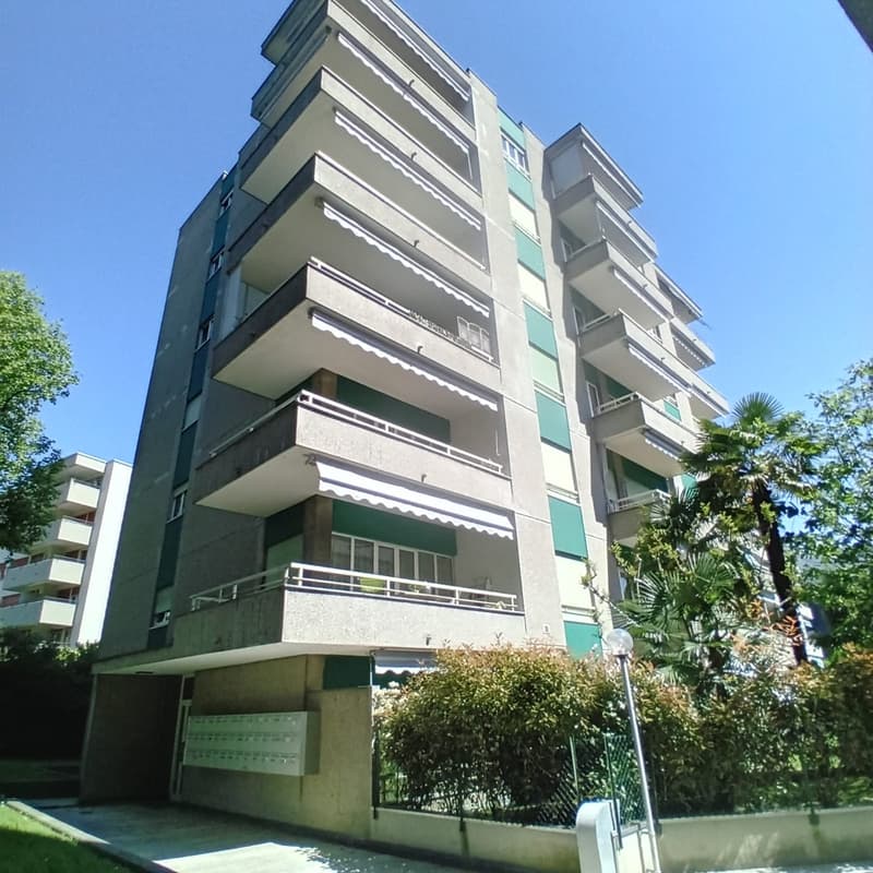 ACCOGLIENTE APPARTAMENTO DI 3.5 LOCALI CON TERRAZZA E GIARDINO (12)