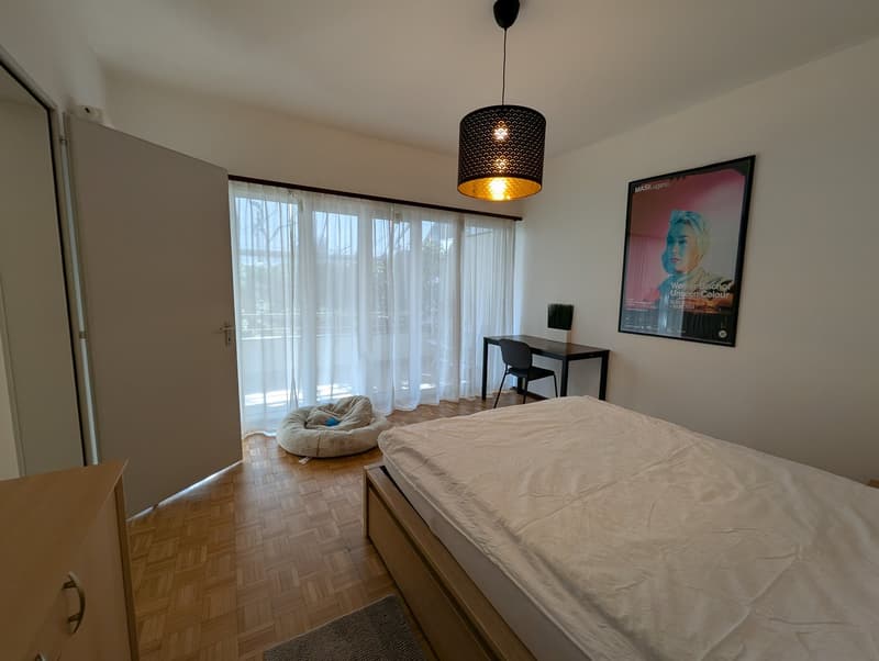 ACCOGLIENTE APPARTAMENTO DI 3.5 LOCALI CON TERRAZZA E GIARDINO (5)