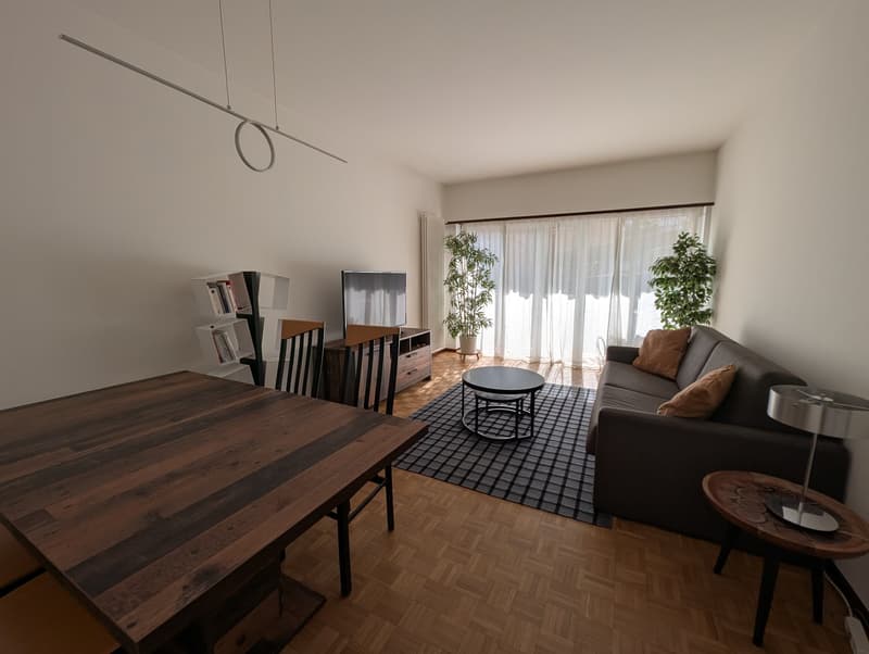 ACCOGLIENTE APPARTAMENTO DI 3.5 LOCALI CON TERRAZZA E GIARDINO (2)