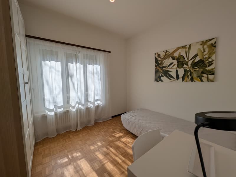 ACCOGLIENTE APPARTAMENTO DI 3.5 LOCALI CON TERRAZZA E GIARDINO (7)