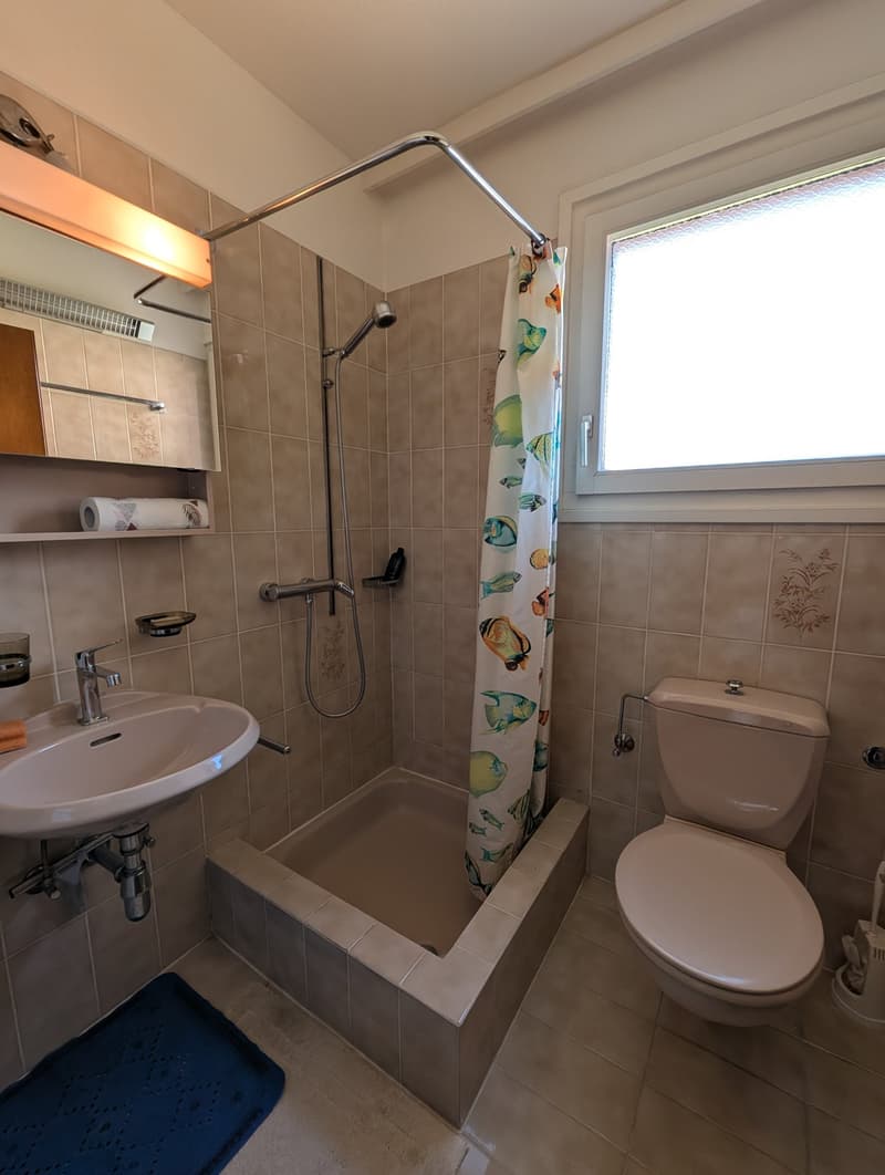 Schönes 4.5-Zimmer-Apartment, nur zwei Schritte vom See entfernt (14)