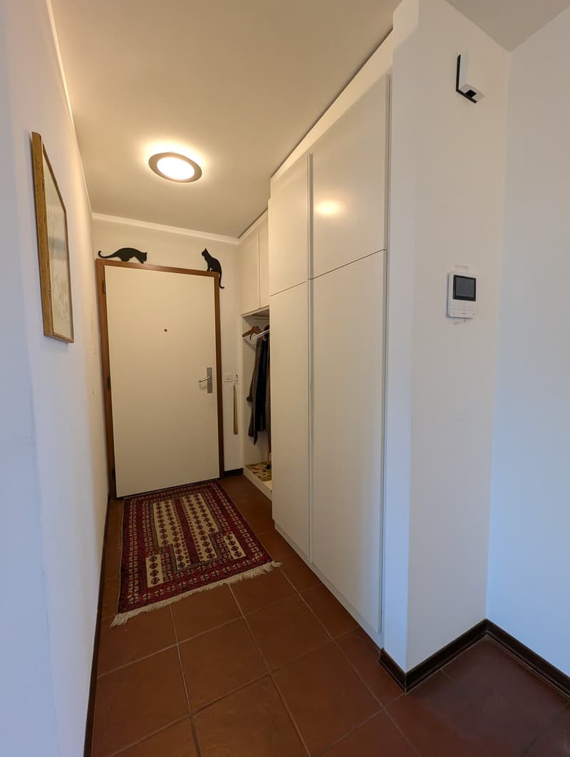 Schönes 4.5-Zimmer-Apartment, nur zwei Schritte vom See entfernt (12)