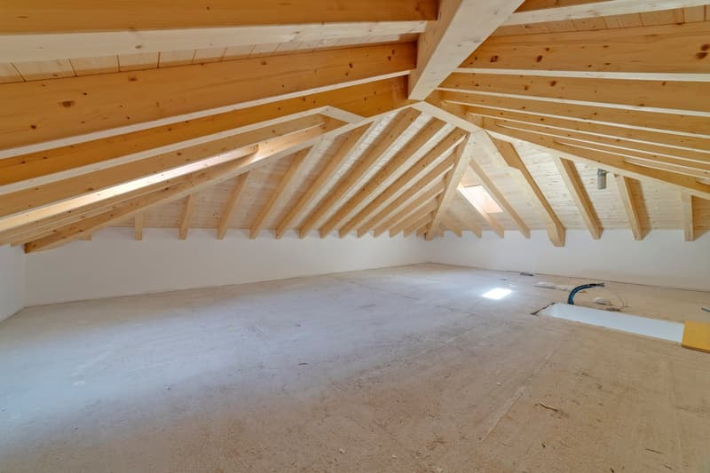favoloso, luminoso e spazioso con mansdarda di 75m2 (16)