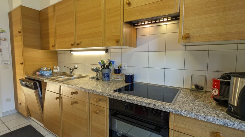 Traumhafter Ausblick - Top Wohnung (8)
