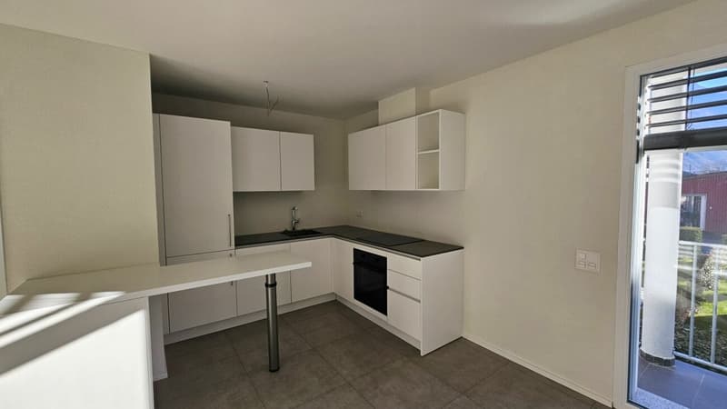 APPARTAMENTO 3.5 LOCALI CON GIARDINO (6)