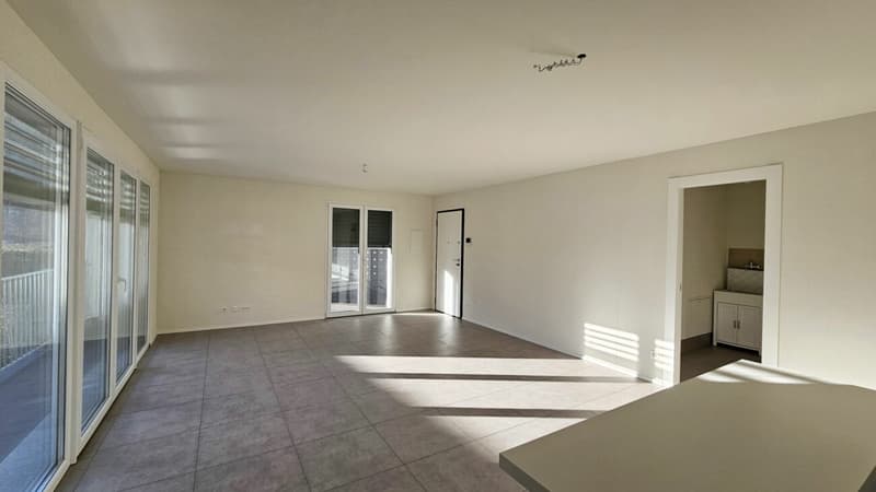 APPARTAMENTO 3.5 LOCALI CON GIARDINO (4)