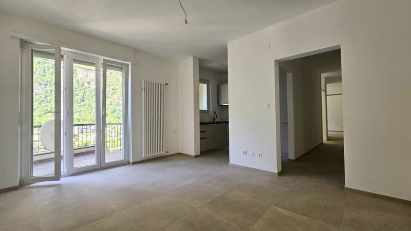 INTERESSANTI APPARTAMENTI 3.5 LOCALI (3)