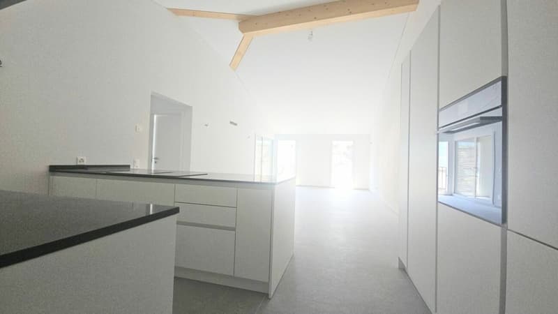 NUOVI 3.5 LOCALI IN CENTRO A BIASCA (6)