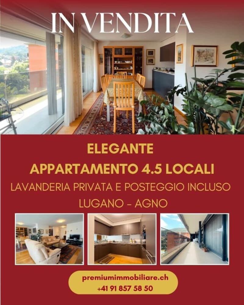 AMPIO APPARTAMENTO AD AGNO (1)