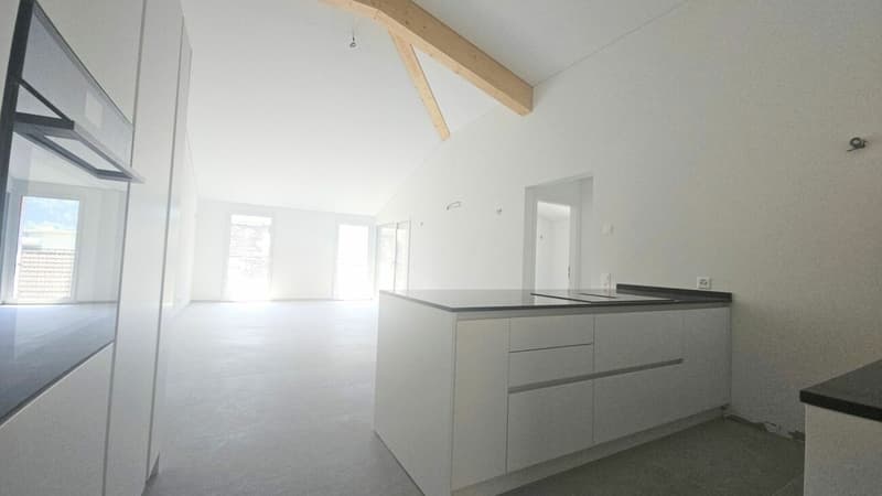 NUOVI APPARTAMENTI 2.5 LOCALI A BIASCA (5)