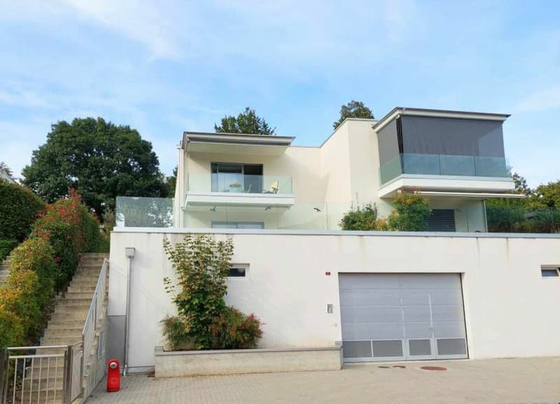 APPARTAMENTO IN CAPRIASCA (1)