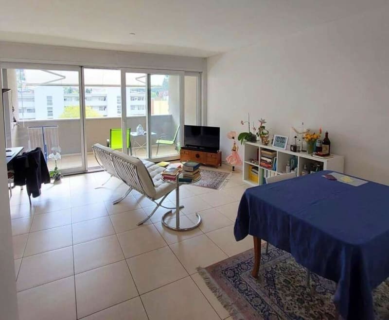 AMPIO 2.5 LOCALI A BELLINZONA (6)