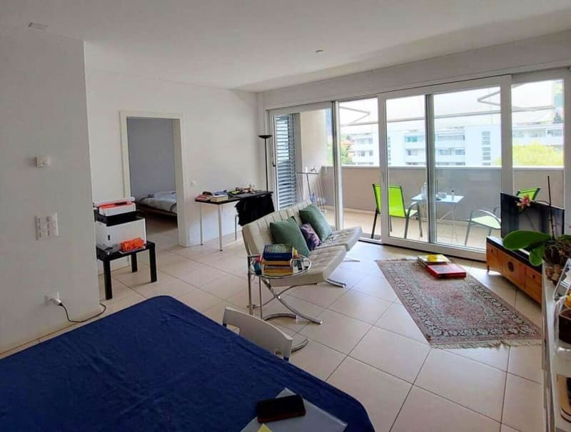 AMPIO 2.5 LOCALI A BELLINZONA (5)