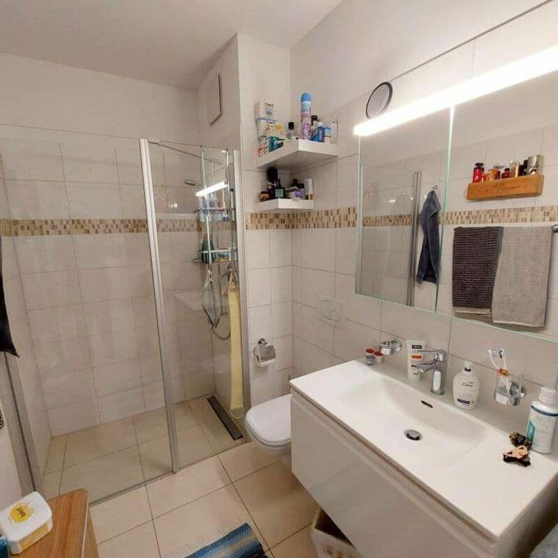 AMPIO 2.5 LOCALI A BELLINZONA (9)