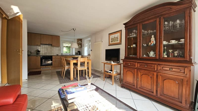 AMPIA CASA UNIFAMILIARE CON GIARDINO A S.VITTORE (11)