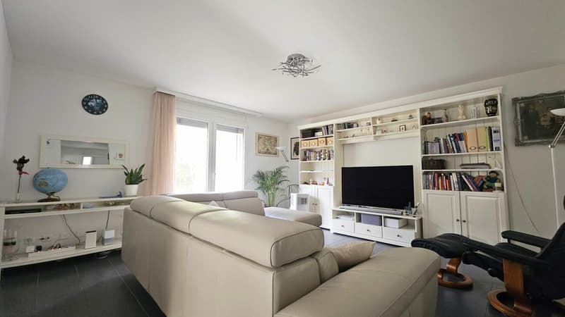 AMPIA CASA UNIFAMILIARE DI 5.5 LOCALI A OSOGNA (5)