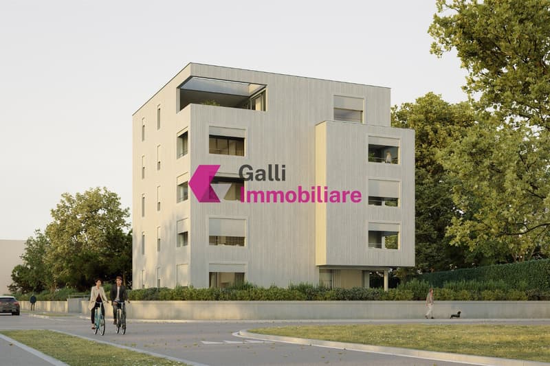 GIUBIASCO: TROVA LA SOLUZIONE PERFETTA P..., Viale 1814, CHF 480000 | homegate.ch