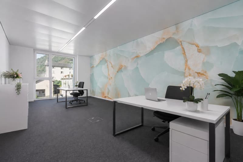 Uffici in spazio professionale condiviso a Grono (GR) (3)