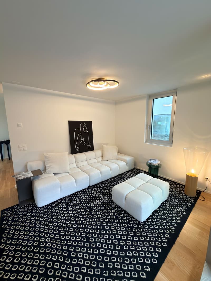 Living room: white sectional sofa, black and white rug, modern decor, window with view, ceiling light