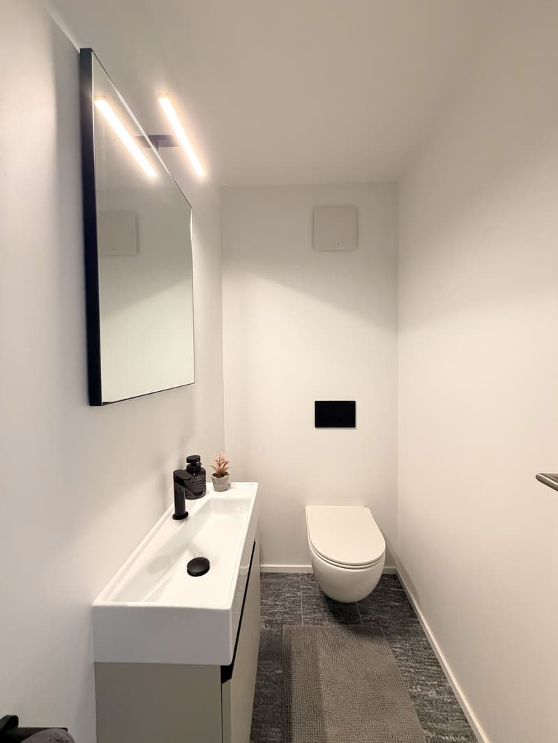 Bathroom: white walls, white sink, mirror, toilet, small potted plant, small rug, dark countertop