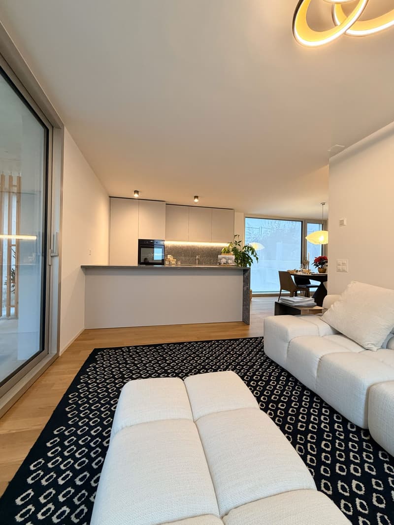 Modern interior, white furniture, large windows, kitchen island, black and white carpet, dining table with chairs, ceiling light