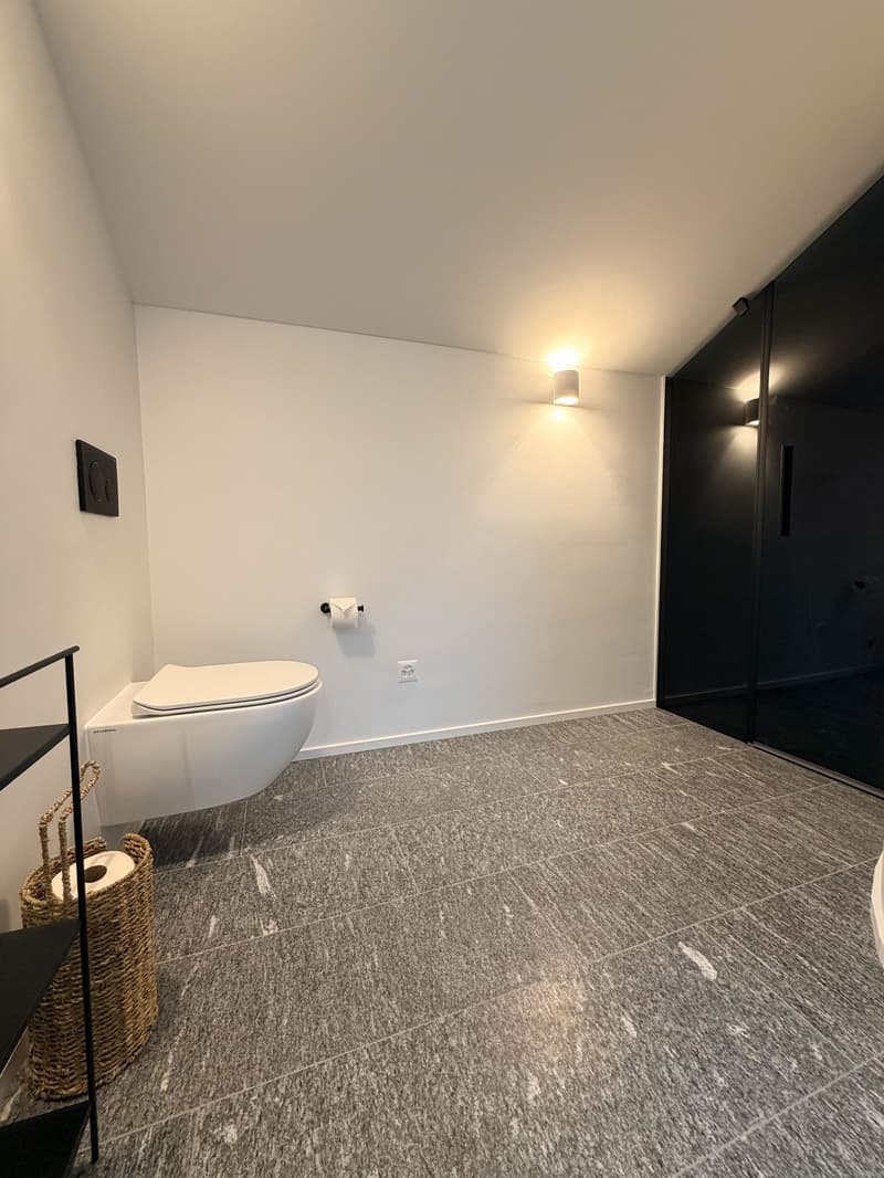 empty bathroom, white walls, gray tiles, black glass door, recessed lighting, white toilet