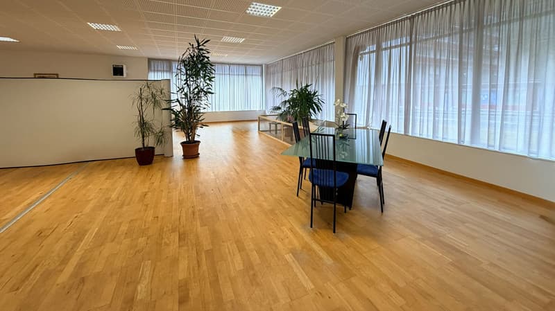 Open room with hardwood floor, glass table, chairs, white walls, large windows, decorative plants