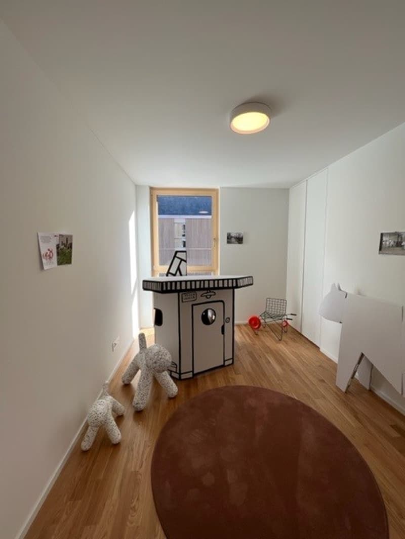 wooden floor, white walls, cat furniture, window with view of the outside, white ceiling light, round rug, and pictures on the wall.