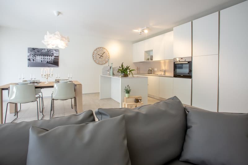 Moderno appartamento di 2.5 locali con ampio balcone a Roveredo (GR) (1)