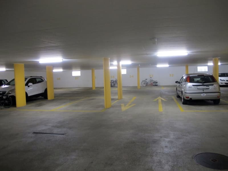 Attico 3.5 locali -posizione centrale ma tranquilla nel verde (15)