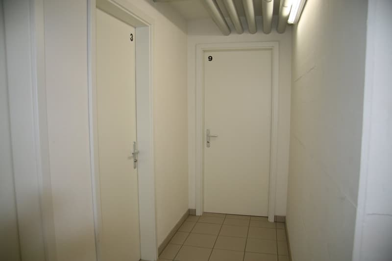 Attico 3.5 locali -posizione centrale ma tranquilla nel verde (13)