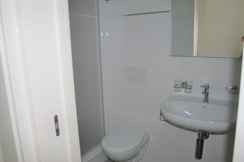 Appartamento funzionale di 3.5 locali con balcone (13)