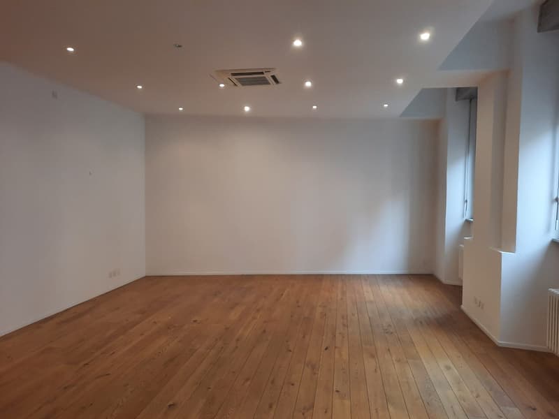 Large empty room, white walls, wooden floors, square lights in the ceiling, windows
