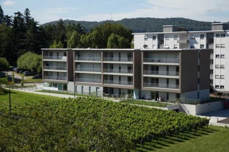 Affittasi appartamento 4.5 locali – 100 m² – Mendrisio, Via Campagna Adorna 21 (1)