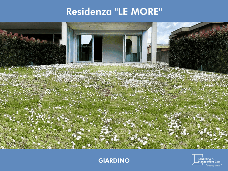 3 LOC. LUMINOSO, RECENTE, DI PREGIO CON AMPIO GIARDINO (3)