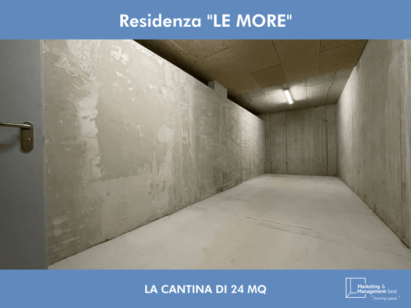 3 LOC. LUMINOSO, RECENTE, DI PREGIO CON AMPIO GIARDINO (17)