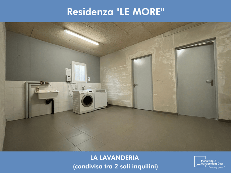 3 LOC. LUMINOSO, RECENTE, DI PREGIO CON AMPIO GIARDINO (16)