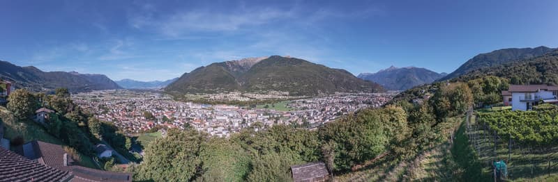 mountain view, vineyards, houses