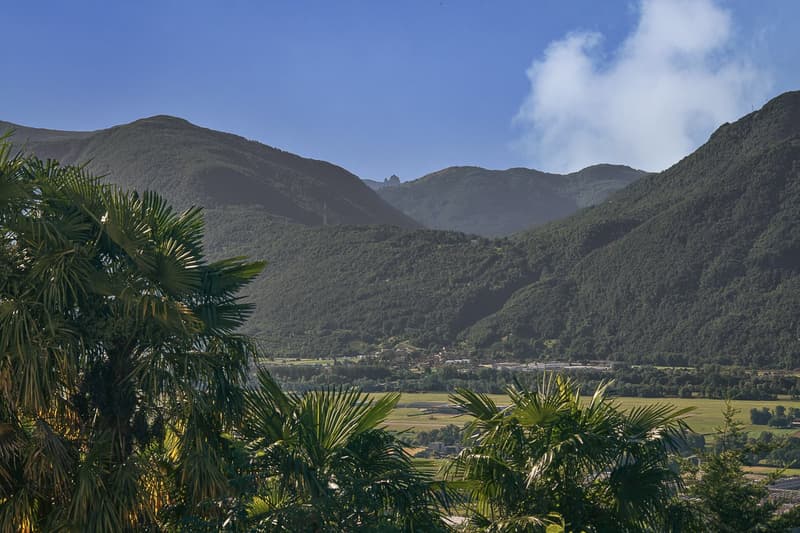 hilly mountains with thick forest, blue sky, lush greenery, palm trees, village in valley