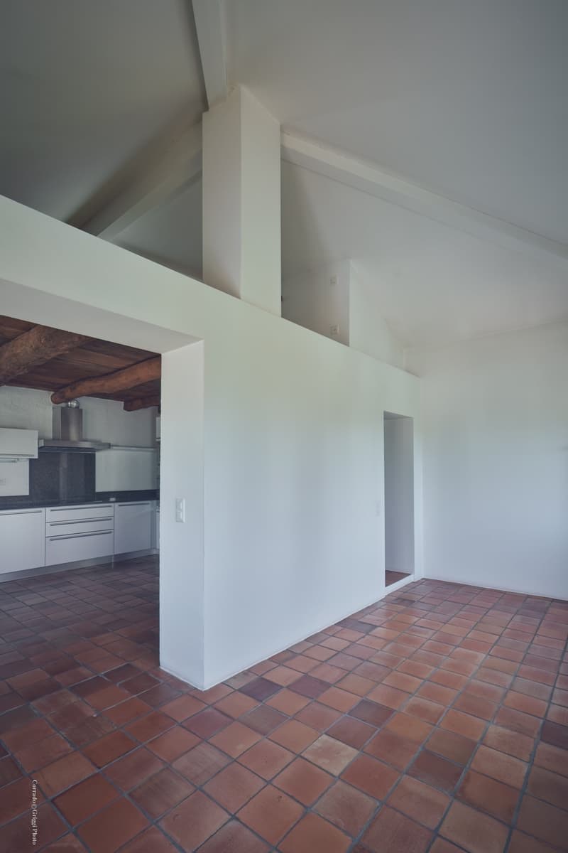 Affittasi luminoso appartamento di 6 locali a Origlio (28)