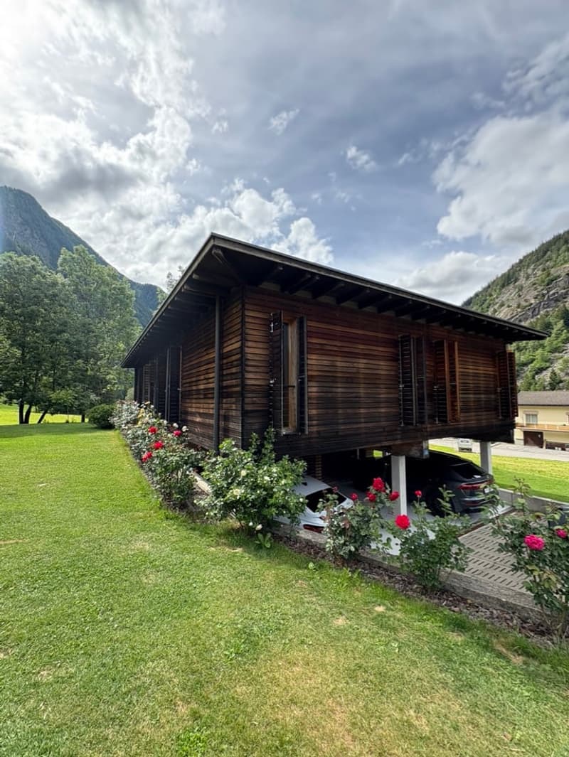 Casa di design in legno immersa nel verde (1)