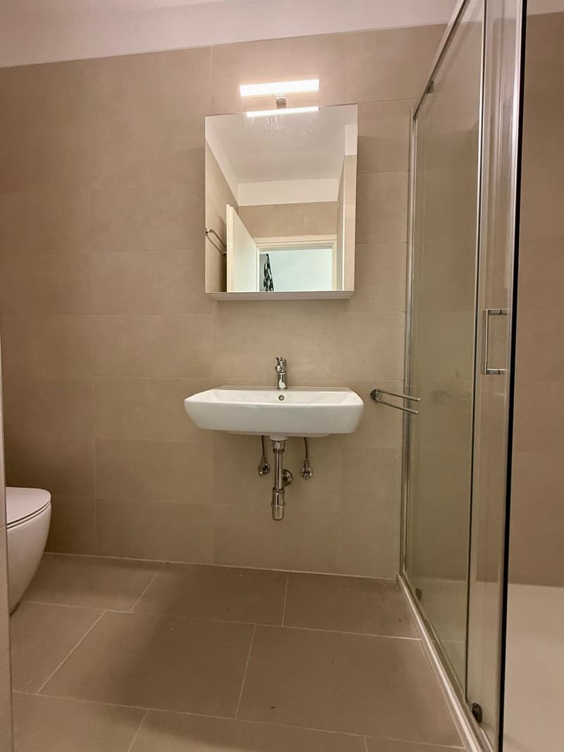 tiled floor, mirror, white toilet, wall-mounted sink, walk-in shower