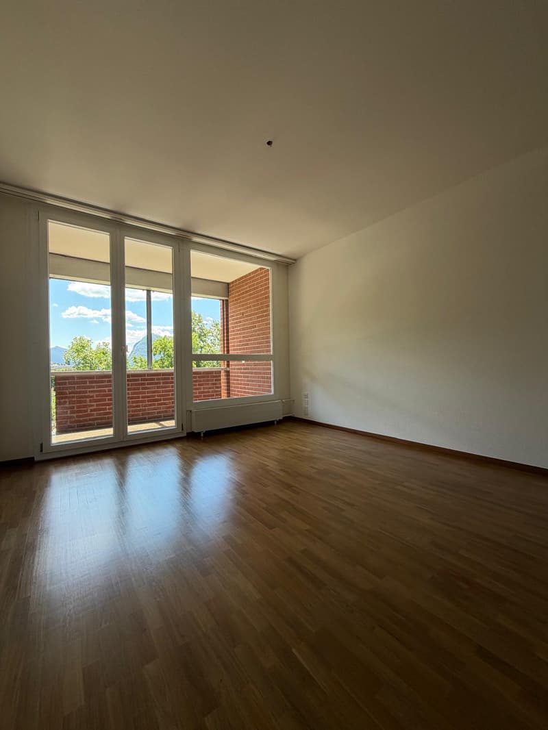 Luminoso appartamento di 4.5 locali con balcone a Pregassona (3)