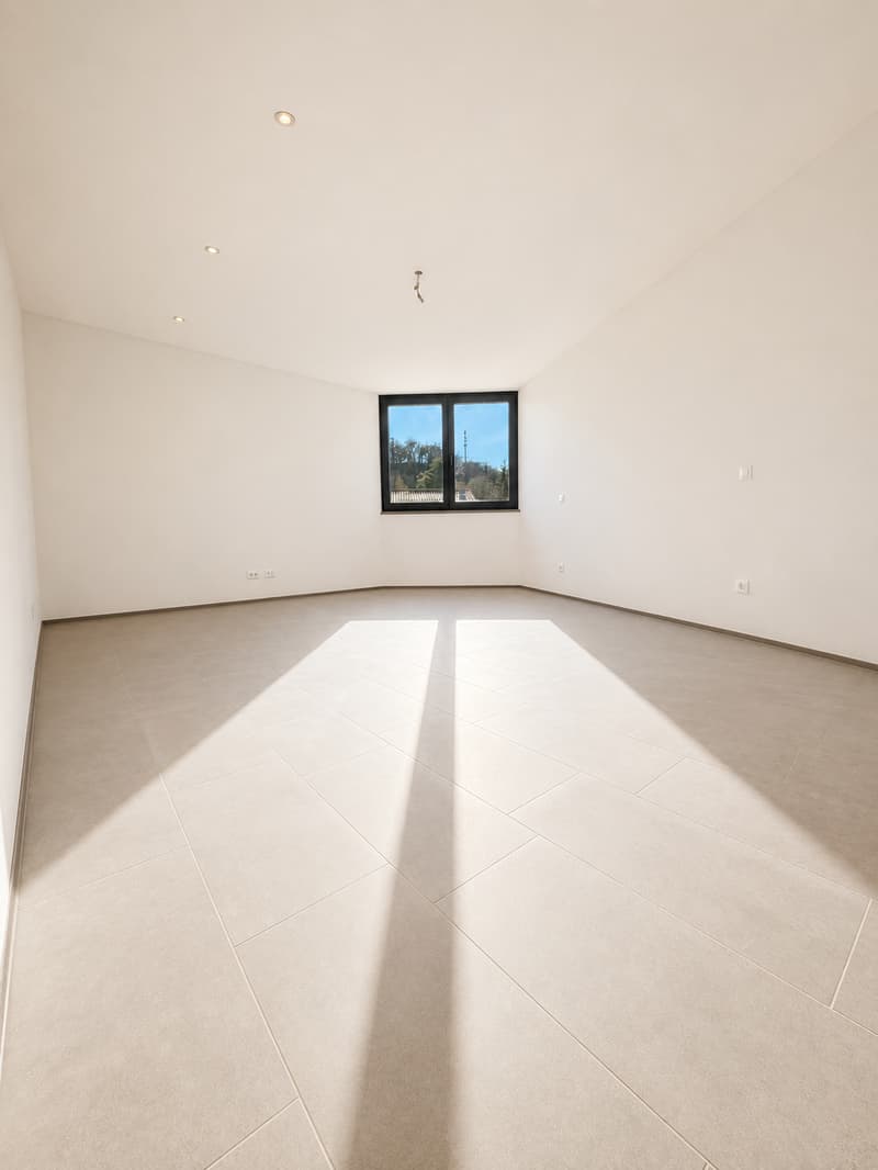Arosio - Nuova casa unifamiliare tra natura ed architettura (7)