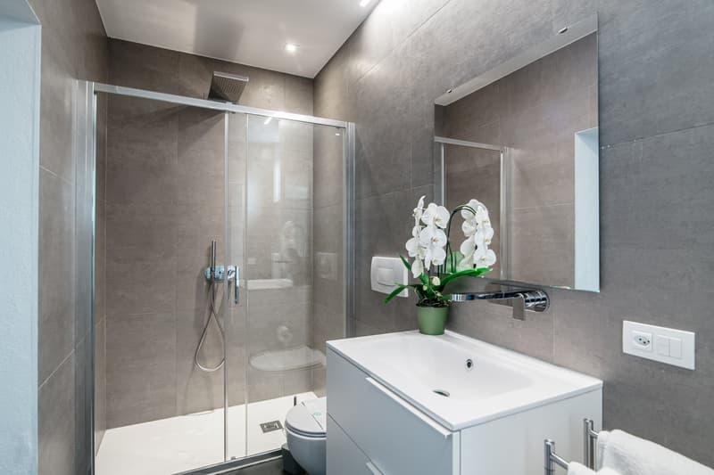modern bathroom with walk-in shower, sink, flower vase, mirror, light, toilet
